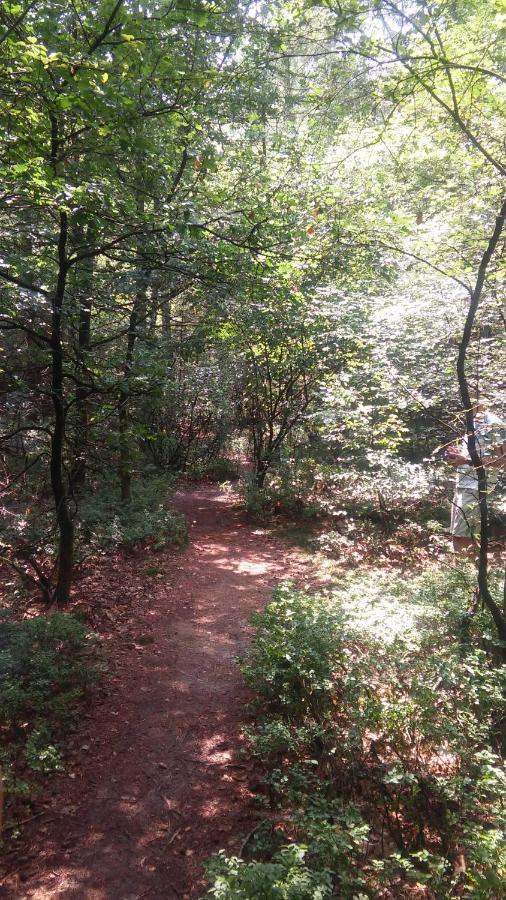 Poort Van De Veluwe Вортуізен Екстер'єр фото